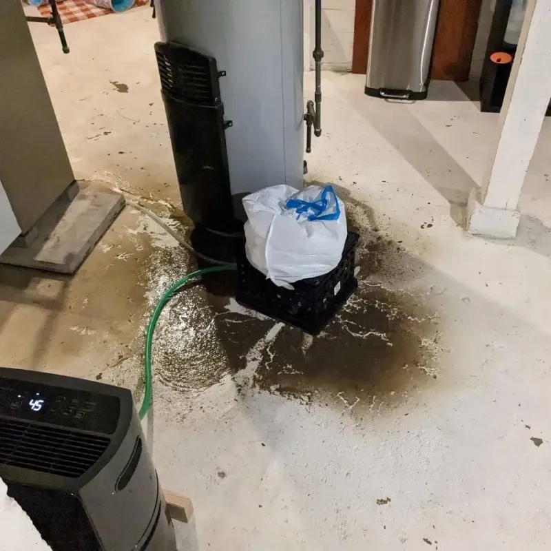 Sewage Backup Cleanup Service in Laurel Hill, NC